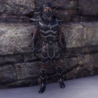 Naryu's Assassin's Armor (male)
