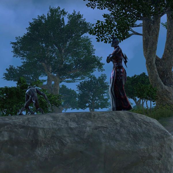 File:ON-npc-Deathbringer Zara-Vyln 02.jpg