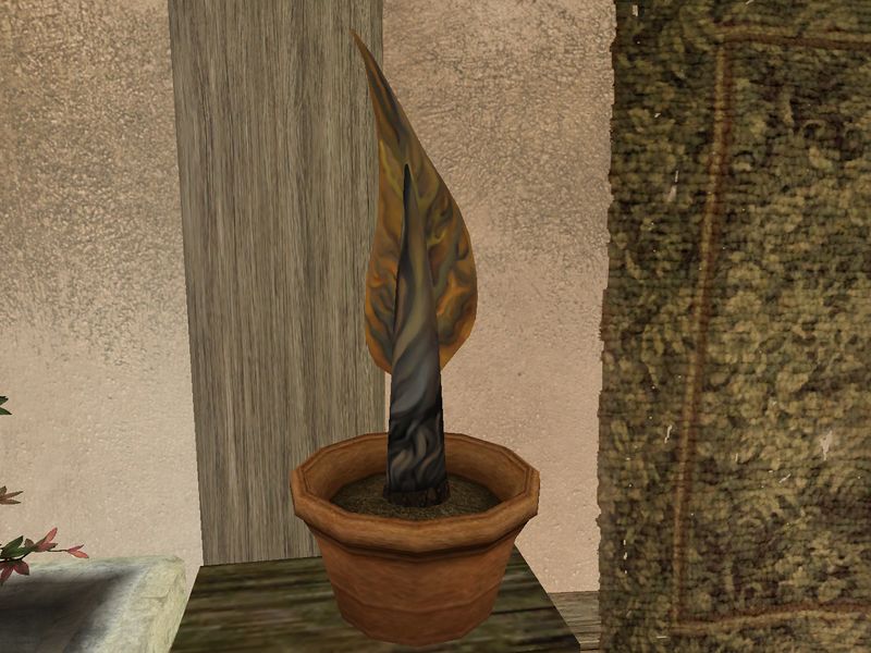 File:TD3-flora-Draketail.jpg