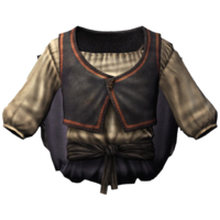 BS5C-icon-clothing-ColovianCommonClothes1(f).png