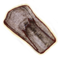 OBR-icon-clothing-Patchwork Pants.png