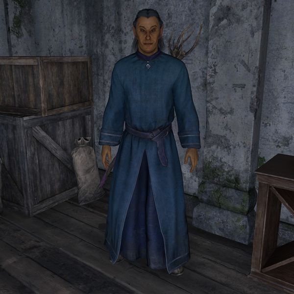 File:OBR-npc-Henantier.jpg