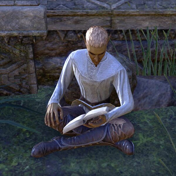 File:ON-npc-Ferardel.jpg