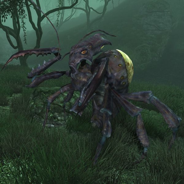 File:SI-creature-Elytra Noble (Dementia).jpg