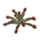 ON-icon-furnishing-Plant, Rosetted Sundew.png