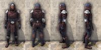 ON-item-armor-Gardener of Seasons Male.jpg