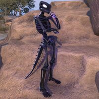 ON-polymorph-Boneman (Argonian).jpg