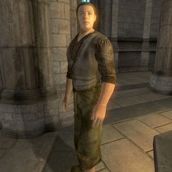 File:OB-npc-Hil the Tall.jpg