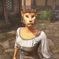 OBR-npc-Ahdarji 02.jpg