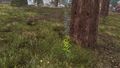 Thumbnail for version as of 22:01, 24 April 2025