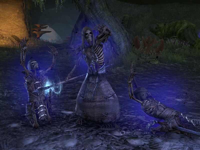 File:ON-npc-Gwaeregil 02.jpg