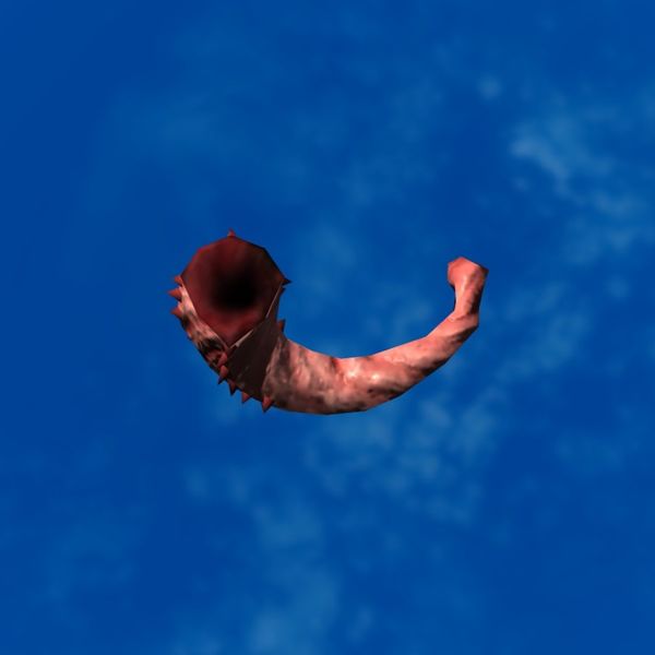 File:SRMOD-LOTD-tide-large shell-red.jpg