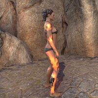 ON-body marking-Dragonclash Body Marking 02.jpg