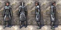 ON-item-armor-Silver Dawn Medium Female.jpg