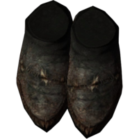 SR-icon-armor-FurShoes.png