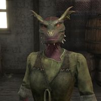 OBR-npc-Bejeen 02.jpg