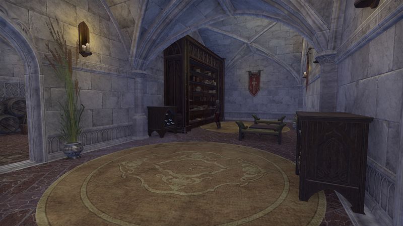 File:ON-interior-Fighters Guild (Solstice) 04.jpg