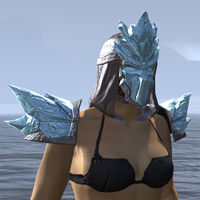 ON-item-armor-Iceheart.jpg