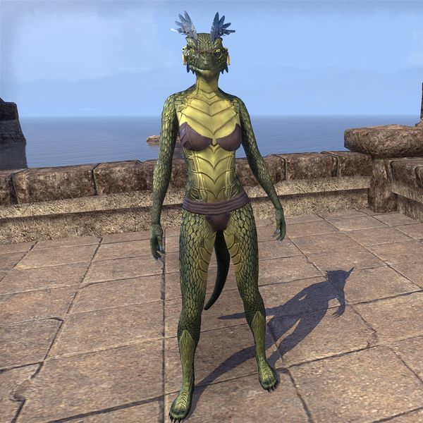 File:ON-skin-Scaly Sun Basker (Argonian).jpg