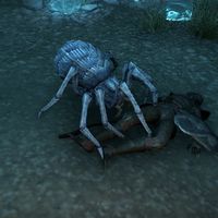 ON-creature-Frostsnare Spider.jpg
