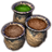 ON-icon-dye stamp-Forest Lime and Caramel.png