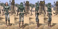 ON-item-armor-Homespun-Jerkin-SoulShriven-Female.jpg