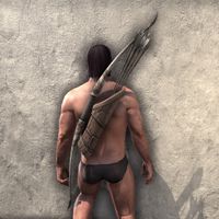 ON-item-weapon-Battleground Runner Bow.jpg