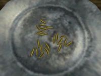 TD3-ing-Fennel Seeds.jpg