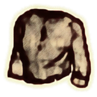 OBR-icon-clothing-Sack Cloth Shirt M.png