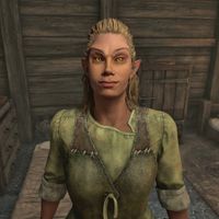 OBR-npc-Carwen 02.jpg