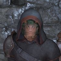 OBR-npc-Teinaava.jpg