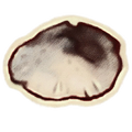 Thumbnail for version as of 17:33, 29 May 2025