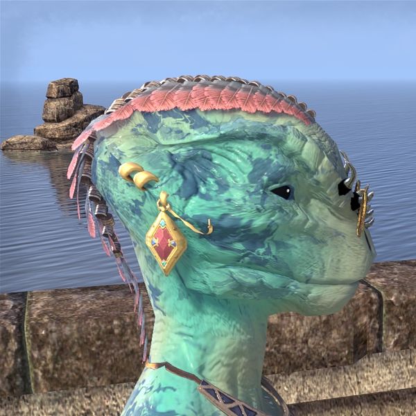 File:ON-hairstyle-High Hrothgar Braid (Argonian) 02.jpg