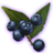 ON-icon-misc-Onyx Berries of Budding.png