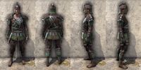 ON-item-armor-Imperial Light Jerkin 4 Male.jpg