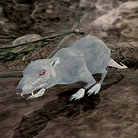 TR3-creature-Grey Rat.jpg