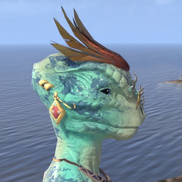 File:ON-hairstyle-Dragonfire Tresses (Argonian) 02.jpg