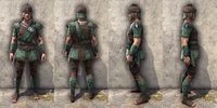 ON-item-armor-Imperial Light Jerkin 3 Male.jpg