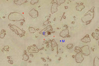 OB-Map-Desolate Mine Exterior.jpg