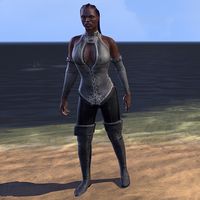 "Holiday in Balmora" Outfit (female)