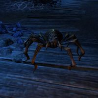 ON-creature-Giant Spider.jpg