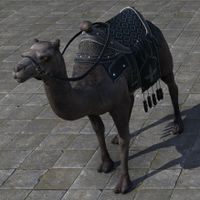 ON-furnishing-Black Camel of Ill Omen.jpg