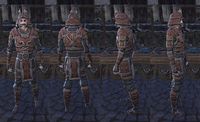 ON-item-armor-Akaviri Medium-Male 02.jpg