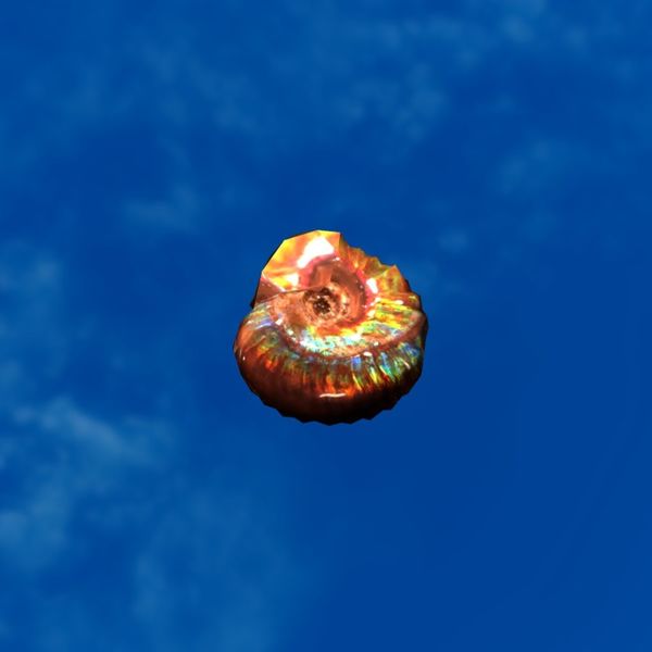 File:SRMOD-LOTD-fossil-t2-ammonite fossil.jpg