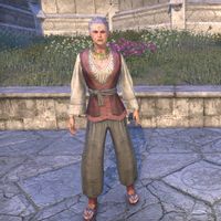 Sentinel Vest and Salvar (female)