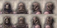ON-item-armor-Exile's Revenge Light Beast Races.jpg