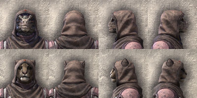 File:ON-item-armor-Exile's Revenge Light Beast Races.jpg