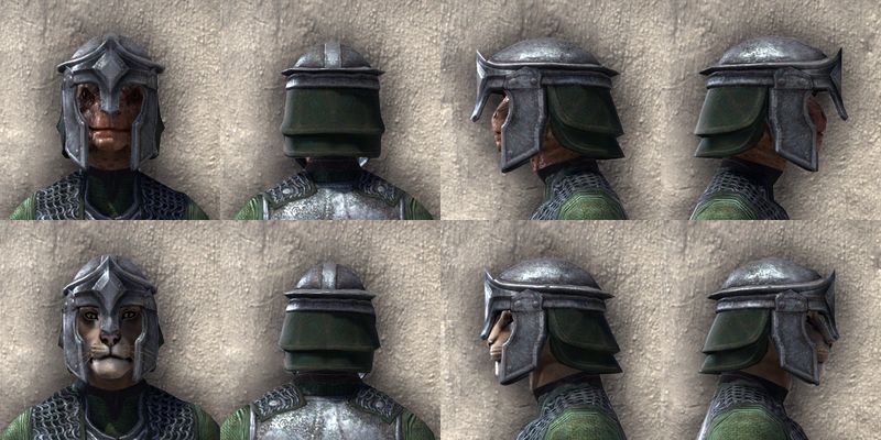 File:ON-item-armor-Imperial Heavy 1 Beast Races.jpg