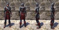 ON-item-armor-Systres Guardian Heavy Female.jpg