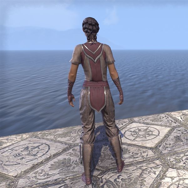 File:ON-costume-Sea Drake Garb (back).jpg